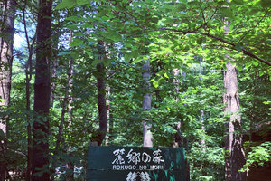 麓郷の森图片
