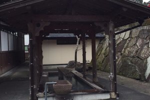 雾岛神宫图片