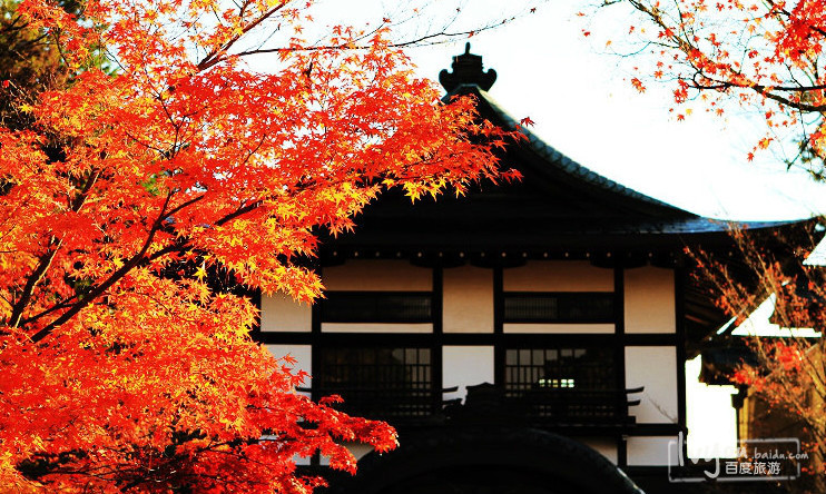 日本京都永观堂禅林寺