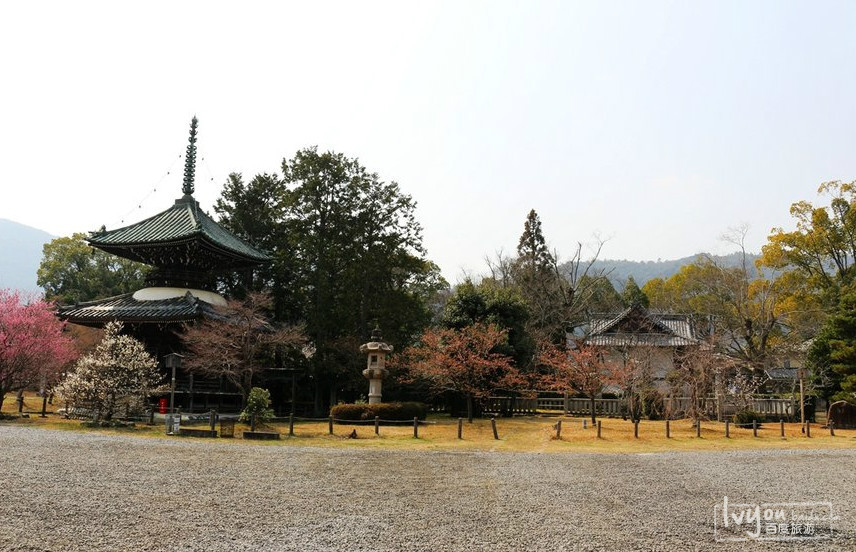 日本京都清凉寺