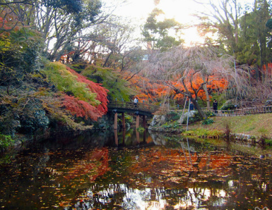 滨松城公园日本庭园图片
